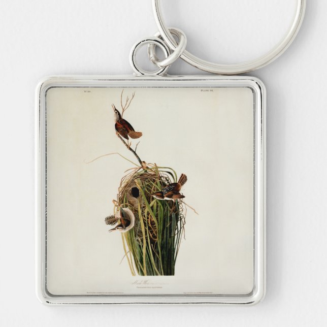 John James Audubon Marsh Wren Bird Print Keychain (Front)