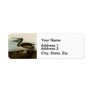 John James Audubon Peinture Pélicane Brown