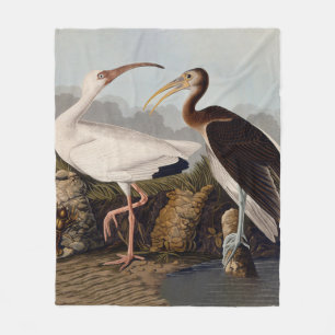 John James Audubon White Ibis Bird Print Classic Fleece Blanket