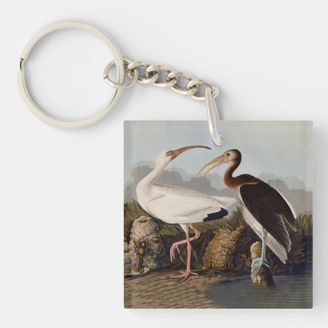 John James Audubon White Ibis Bird Print Classic Keychain (Front)