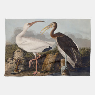 John James Audubon White Ibis Bird Print Classic Kitchen Towel