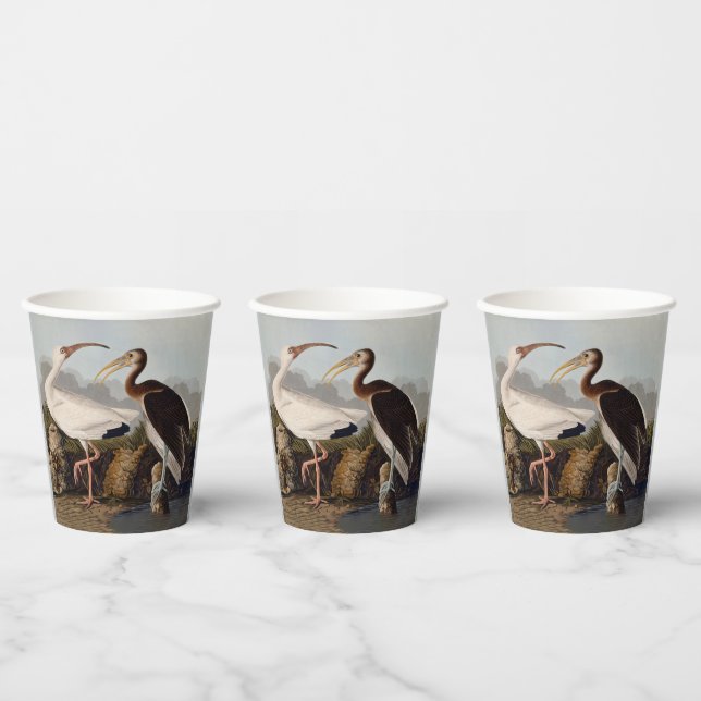 John James Audubon White Ibis Bird Print Classic Paper Cups (Multi)