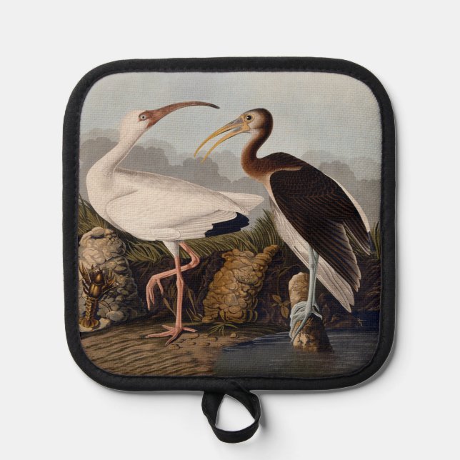 John James Audubon White Ibis Bird Print Classic Pot Holder (Front)