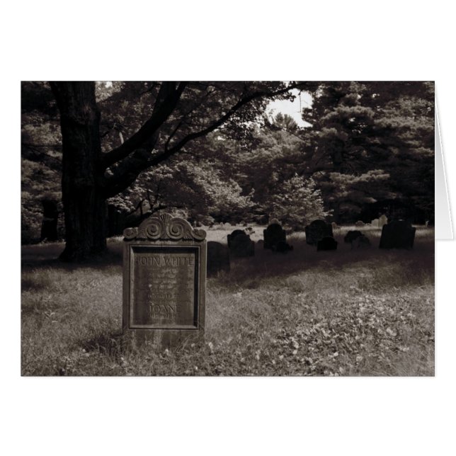 John, Joane, White (Devant horizontal)