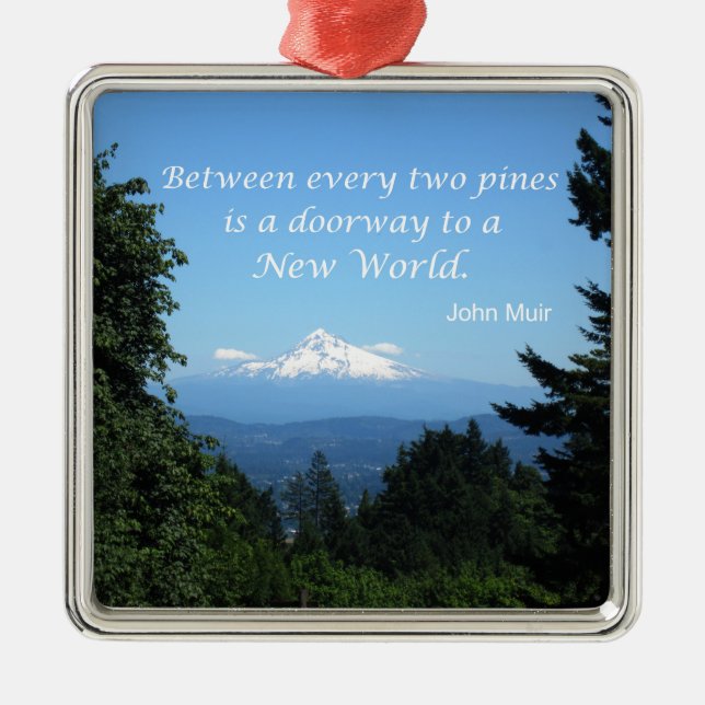 John Muir: "Between every two pines is a doorway" Metal Ornament (Front)
