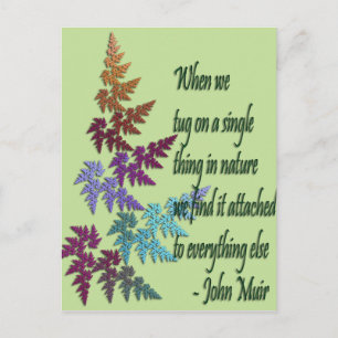 john muir - carte postale