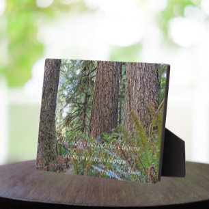 John Muir Quote Giant Conifer Forest Plaque