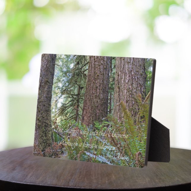 John Muir Quote Giant Conifer Forest Plaque (In Situ Table)