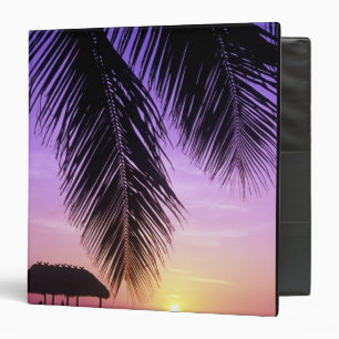 John Pennekamp State Park, Florida Keys, Key Binder