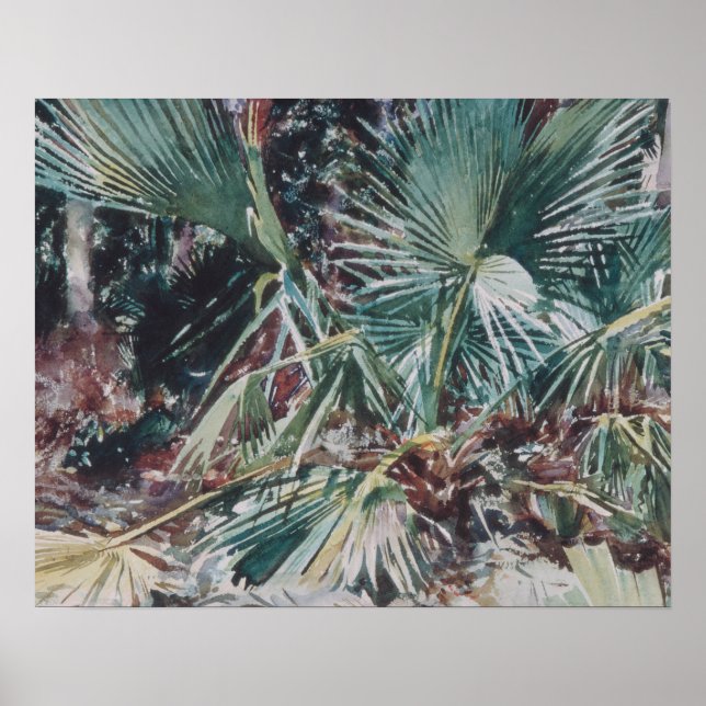 John Singer Sargent - Palmettos Poster (Front)