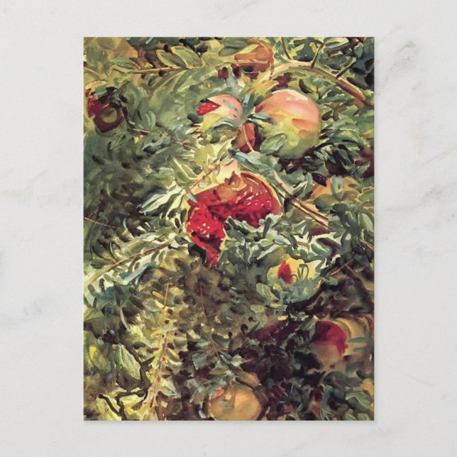 John Singer Sargent: Pomegranates Postcard (Front)