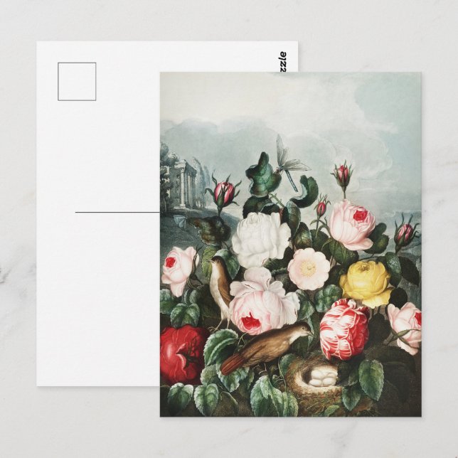 John Thornton Roses from The Temple of Flora Postcard (Front/Back)