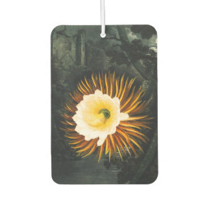 John Thornton The Night-Blowing Cereus Botanical Air Freshener