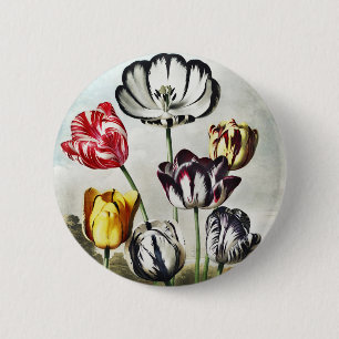 John Thornton Tulips from The Temple of Flora 2 Inch Round Button