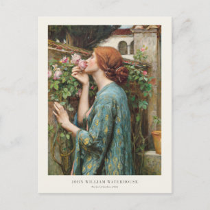 John William Waterhouse The Soul of the Rose 1908  Postcard