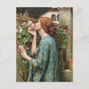 John William Waterhouse The Soul of the Rose 1908 Postcard