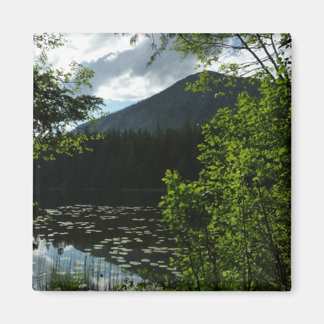 Johns Lake I at Glacier National Park Magnet (Front)