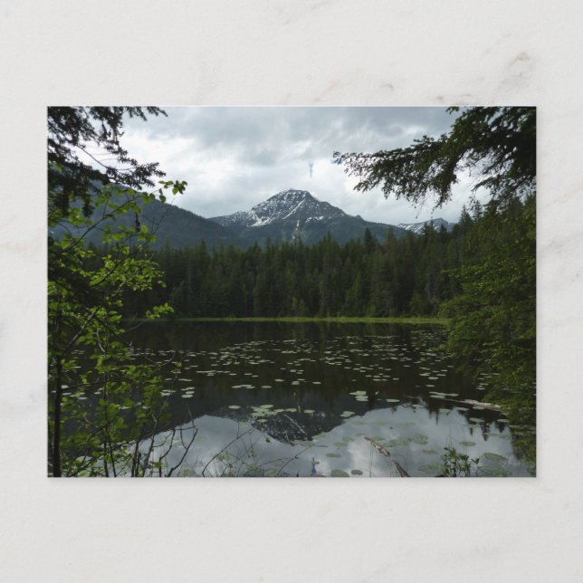 Johns Lake II at Glacier National Park Postcard (Front)