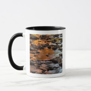 Johnson County, Leawood, Tomahawk Creek Mug