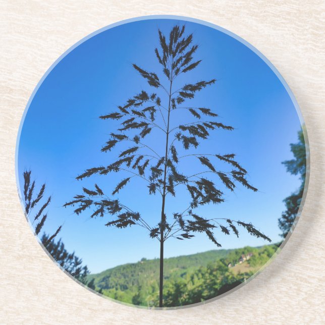 Johnson Grass Coaster (Front)