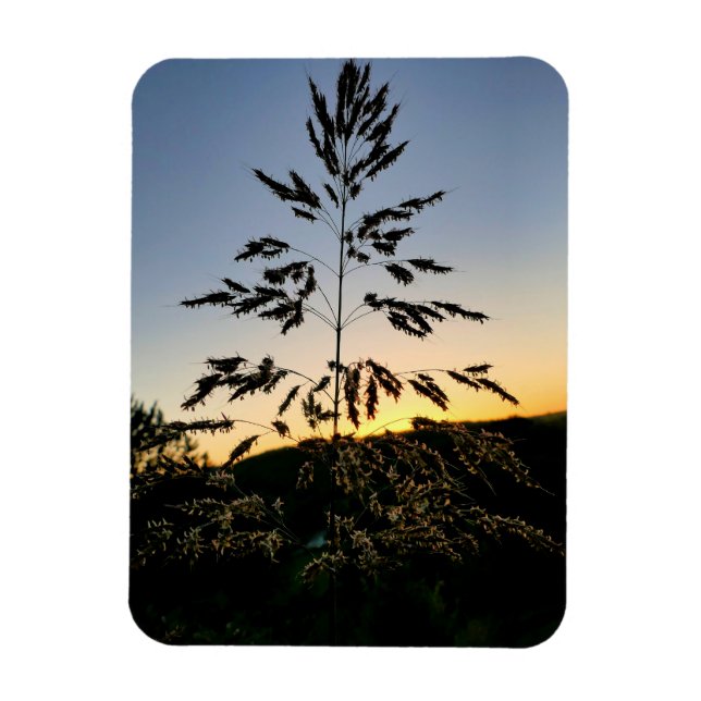 Johnson Grass Magnet (Vertical)