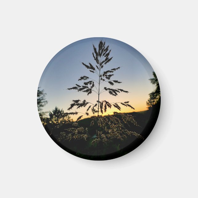 Johnson Grass Magnet (Front)