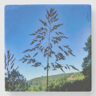 Johnson Grass Stone Coaster