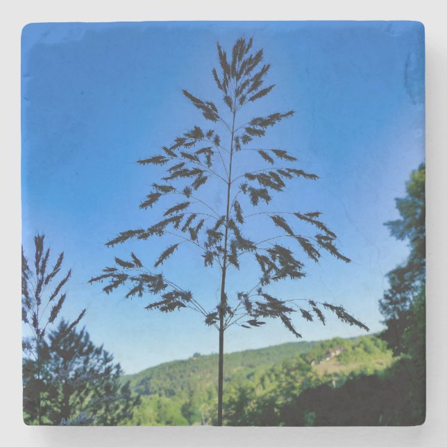 Johnson Grass Stone Coaster (Front)