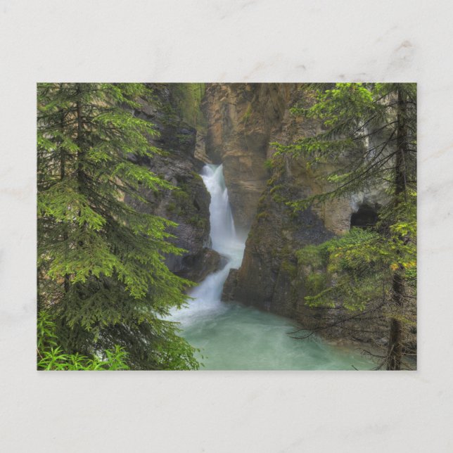 Johnston Canyon Postcard (Front)