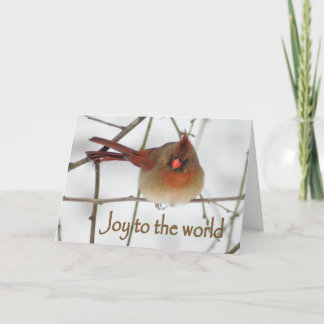 Joie à la carte de Noël cardinale de Wordl