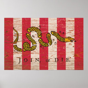 Join or Die Print