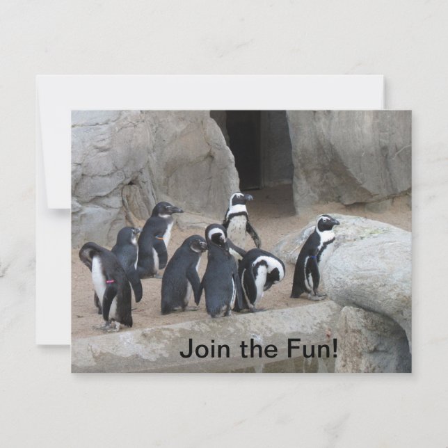 Join Penguins Party Invitation (Front)