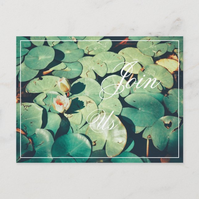 Join Us Green Leaves Water Lily Flower Postcard (Front)