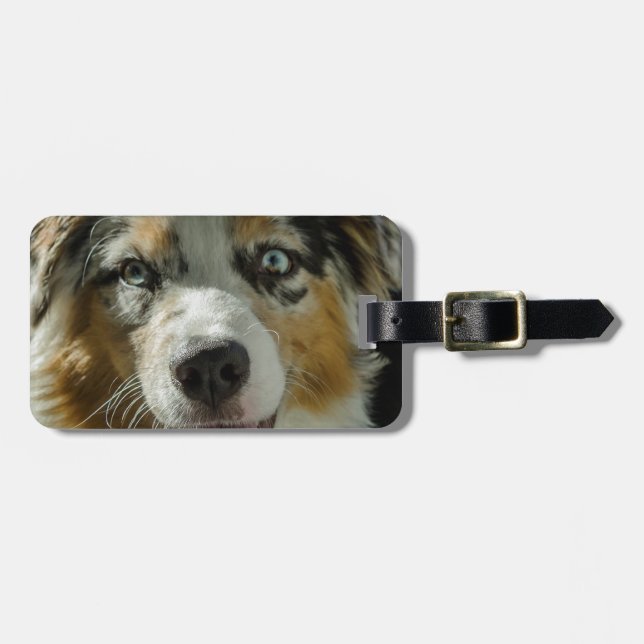 Joker Boy Luggage Tag (Front Horizontal)