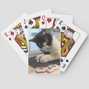 Joker cat playing cards