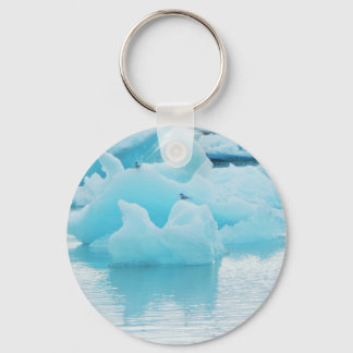 Jökulsárlón terns keychain