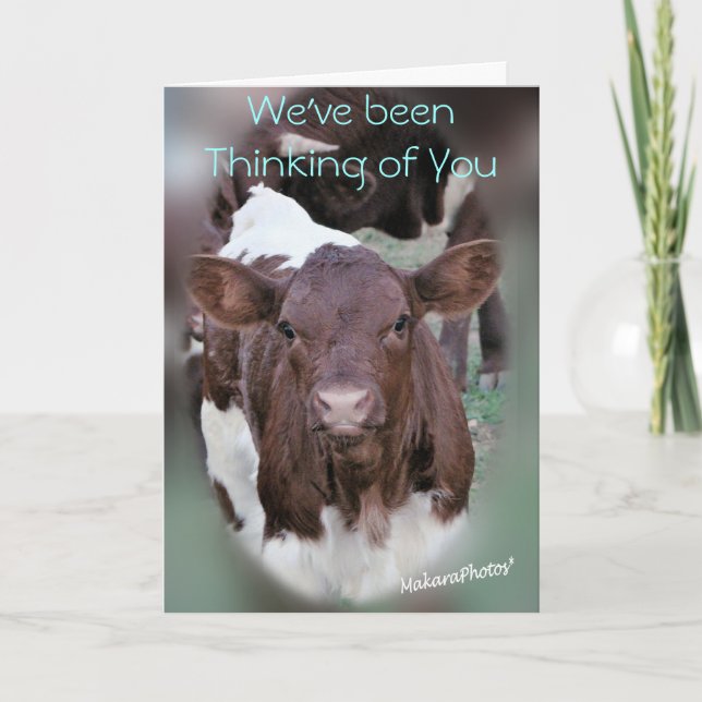 JolCrd-GetWell or Sympathy-customize Card (Front)