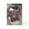 Jolee-Thinking of You-or other occasions-customize