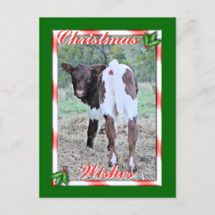 JoleeChristmasPcard-customize Holiday Postcard