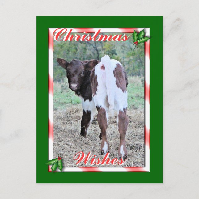 JoleeChristmasPcard-customize Holiday Postcard (Front)