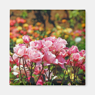 Joli aimant avec des roses roses