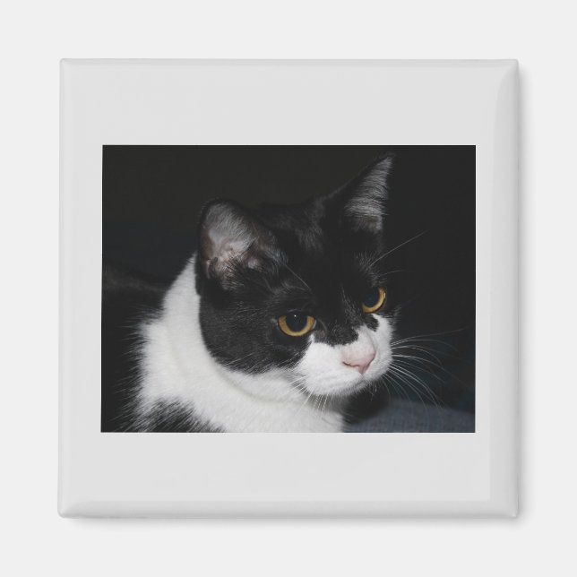 Joli aimant Kitty (Devant)