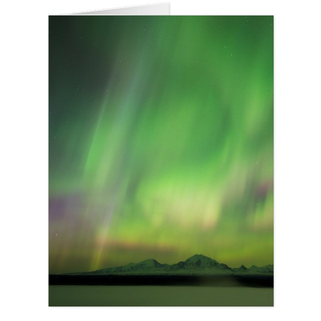 Joli Aurora (Devant)