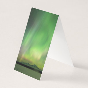 Joli Aurora