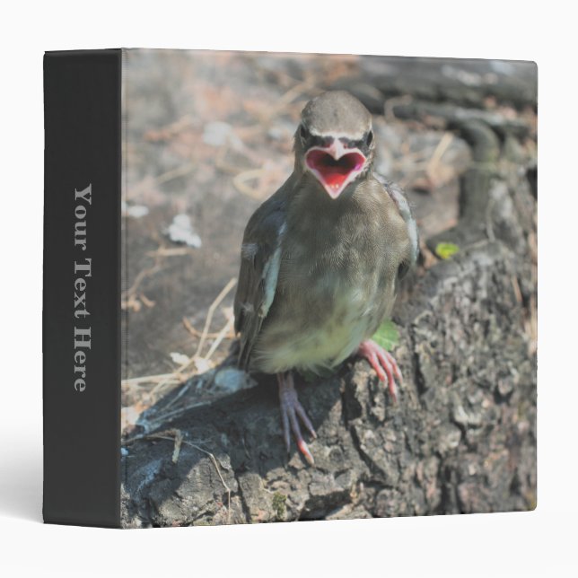 Joli bébé Jaseur boréal Oiseau Animal Classeur (Devant/Côté)