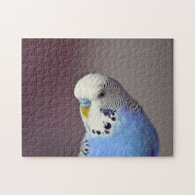 Joli Blue Budgie Photo Jigsaw Puzzle (Horizontal)
