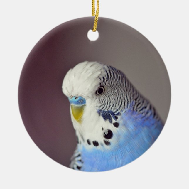 Joli Blue Budgie Photo Ornement en céramique (Devant)