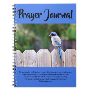 Joli Bluebird Sur Le Journal De Prière De Clôture