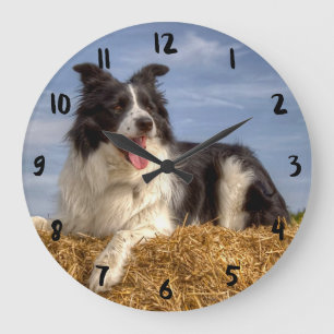 Joli Border Collie sur Balle de Paille Horloge