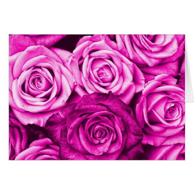 Joli Bouquet de fleurs de roses rose Magenta (Devant Horizontal)